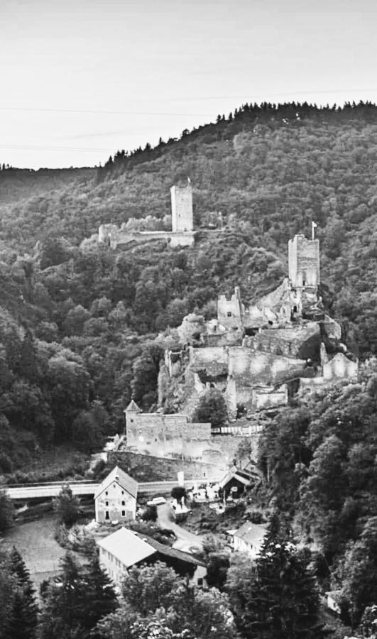 Herberg Die Alte Schleuse Manderscheid Eksteriør bilde