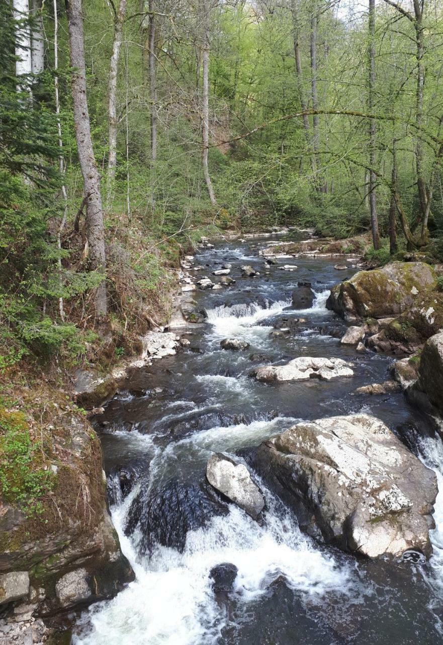 Herberg Die Alte Schleuse Manderscheid Eksteriør bilde