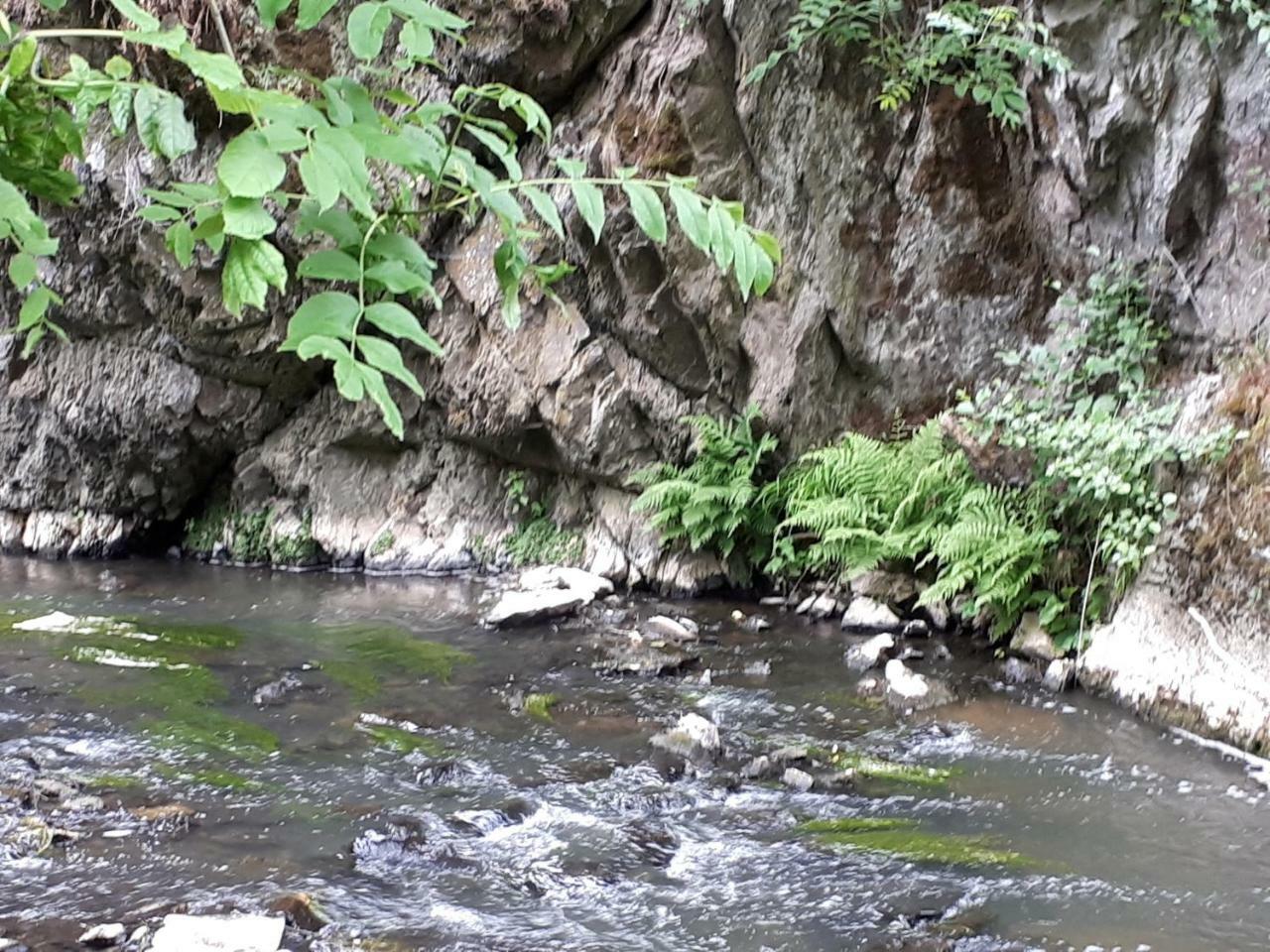 Herberg Die Alte Schleuse Manderscheid Eksteriør bilde