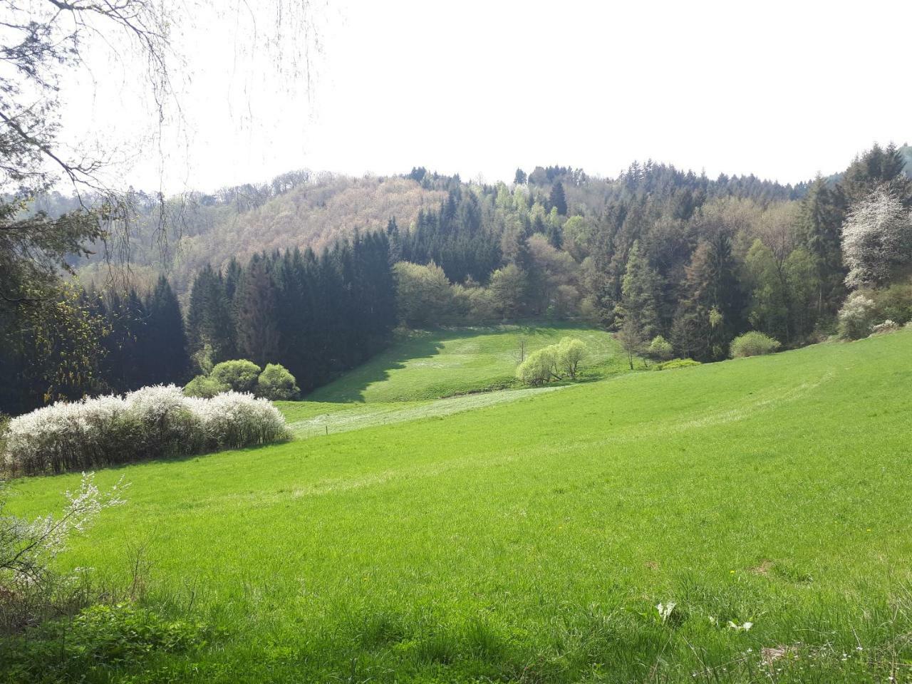 Herberg Die Alte Schleuse Manderscheid Eksteriør bilde